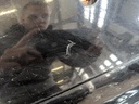 IMG_20220425_133221.jpg