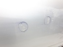 20220426_090116.jpg