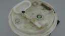 DSC02459.JPG