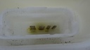 DSC02460.JPG