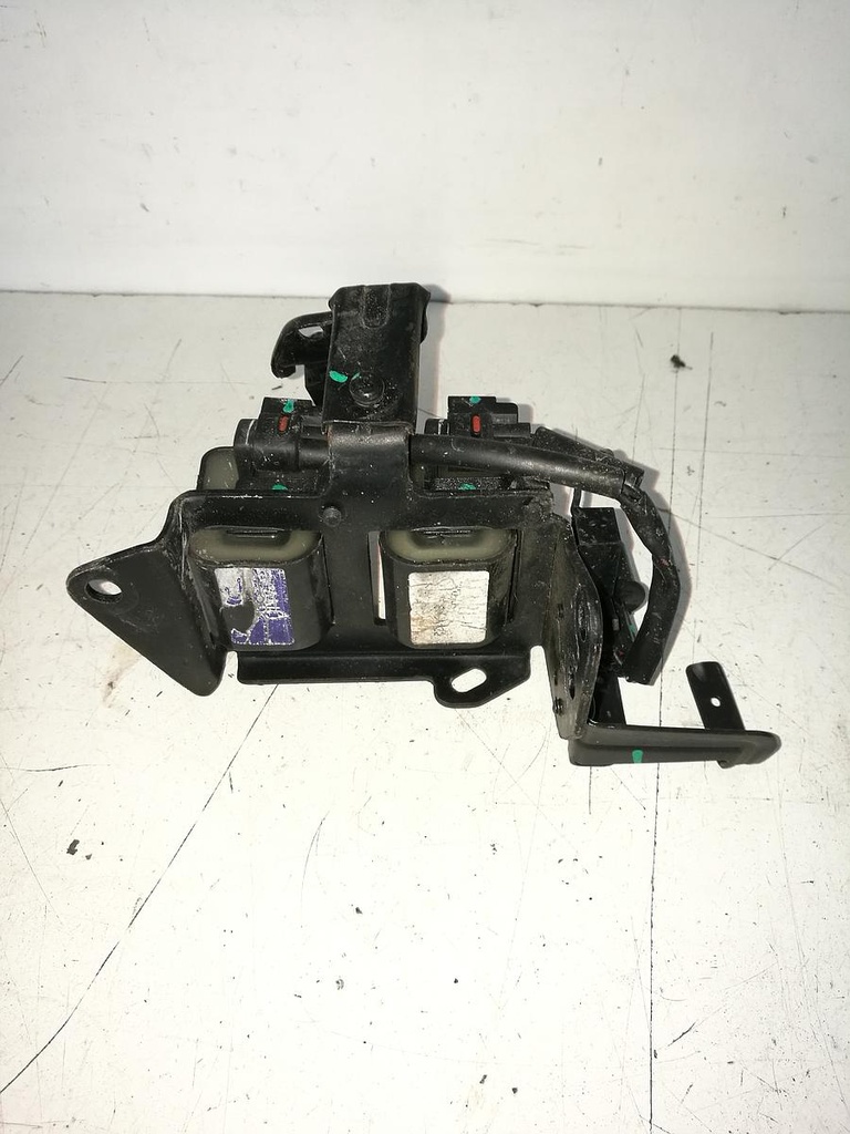 IMG_20220502_091542[1].jpg