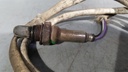 20220509_140817.jpg