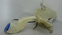DSC03183.JPG