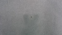 DSC03316.JPG