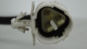 DSC03605.JPG