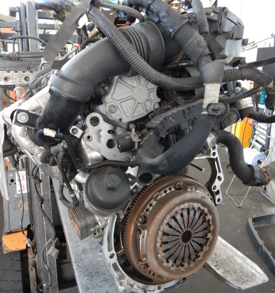 DSCN7204.JPG