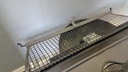 20220617_074717.jpg