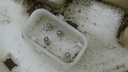 DSC06701.JPG