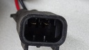 DSC07650.JPG
