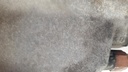 20220715_100155.jpg