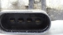 DSC01184.JPG