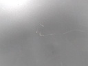 16612616021428068553275260535365.jpg