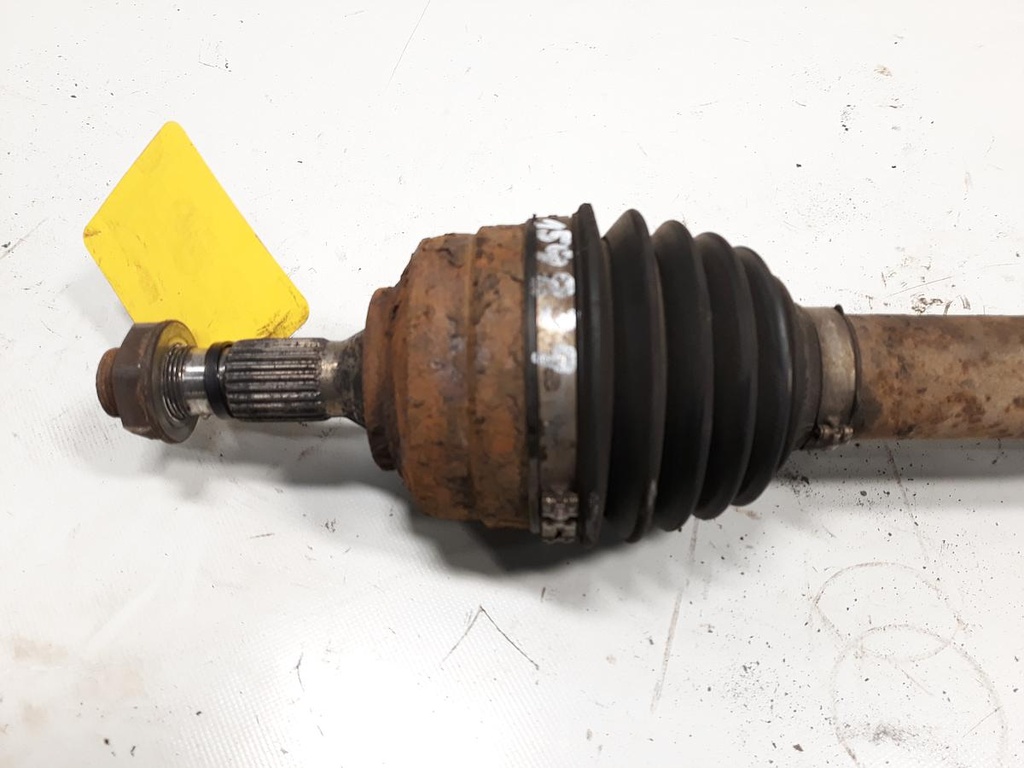 20220826_151431.jpg