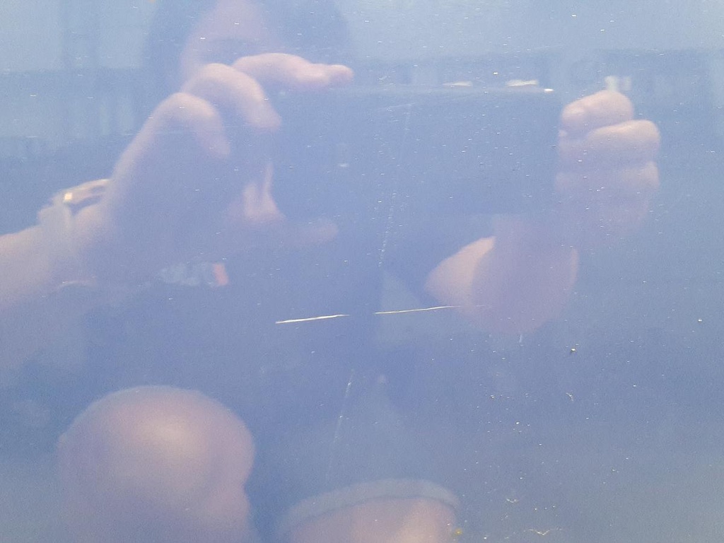 20220901_093354.jpg