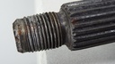DSC01950.JPG