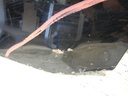 DSCN5204.JPG