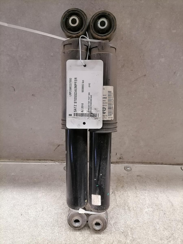 IMG_20220919_132201.jpg