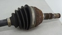 DSC03148.JPG