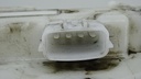 DSC03810.JPG