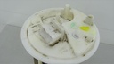 DSC03972.JPG