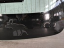 IMG_20220929_144909.jpg
