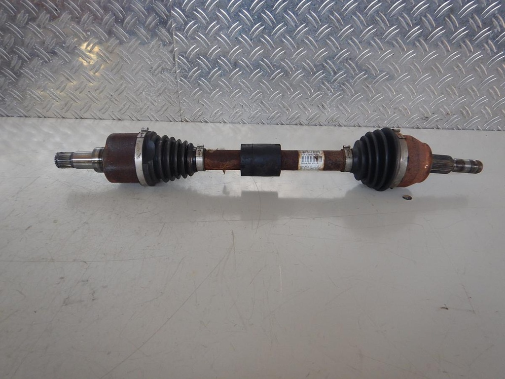 DSCN9318.JPG