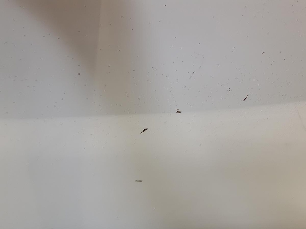 20221026_121928.jpg