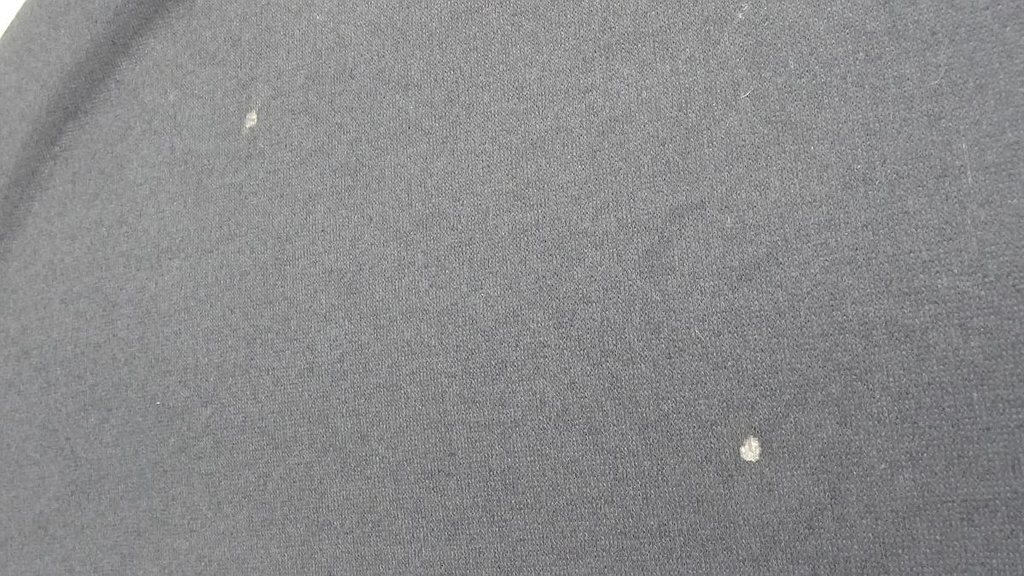 DSC08008.JPG