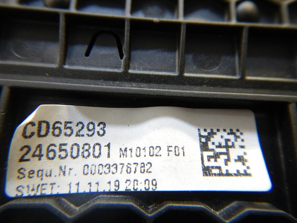DSCN7096.JPG