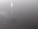 16693644182296729306611781405612.jpg