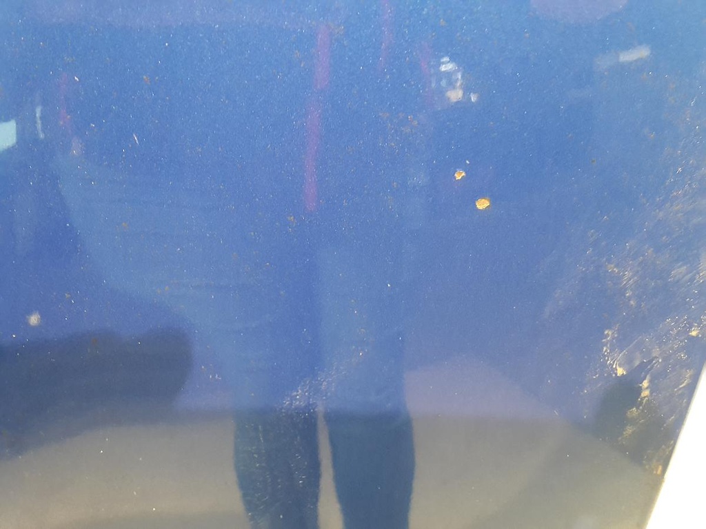 20221128_115205.jpg