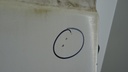 DSC09305.JPG