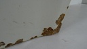 DSC09304.JPG