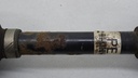 DSC09779.JPG