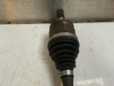 2537_3.jpg