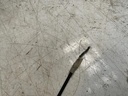 3910_3.jpg