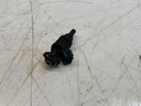 1106_2.jpg