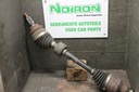 IMG_4499.JPG