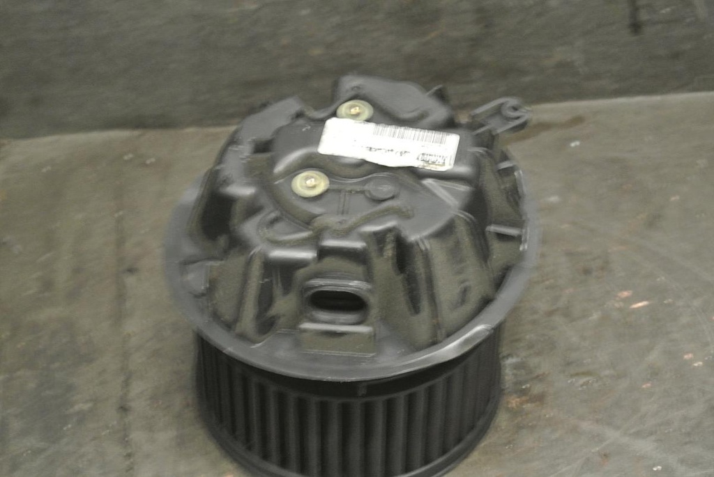 DSC_8895.JPG
