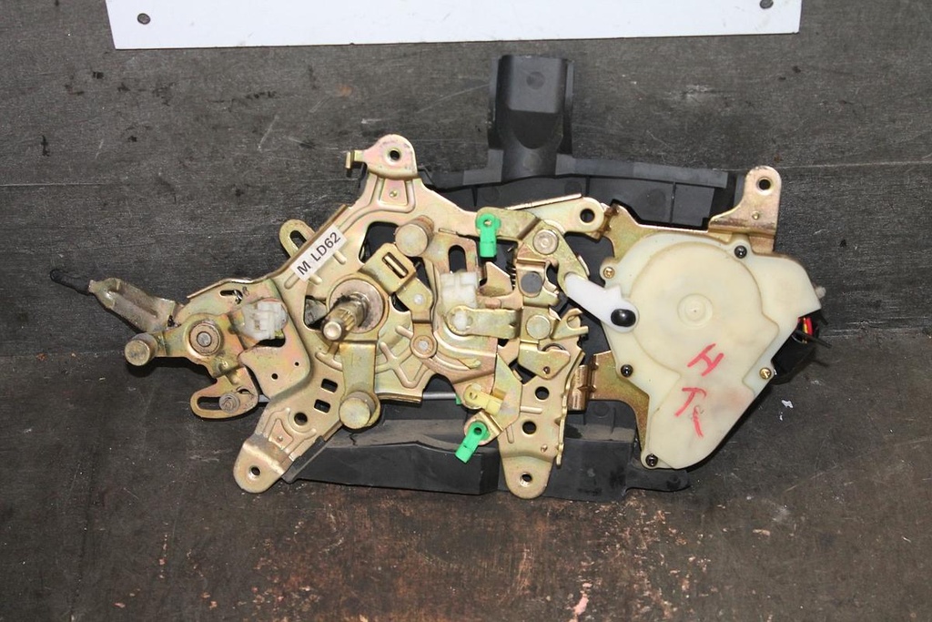 IMG_8099.JPG