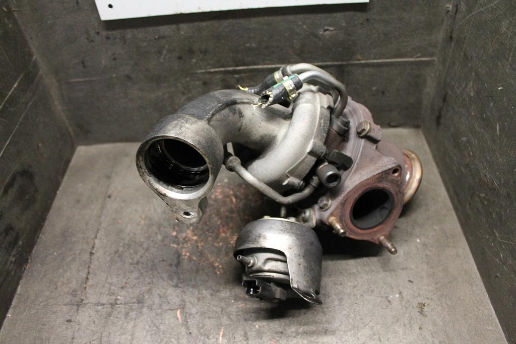 IMG_5297.JPG