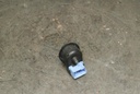 DSC_8950.JPG