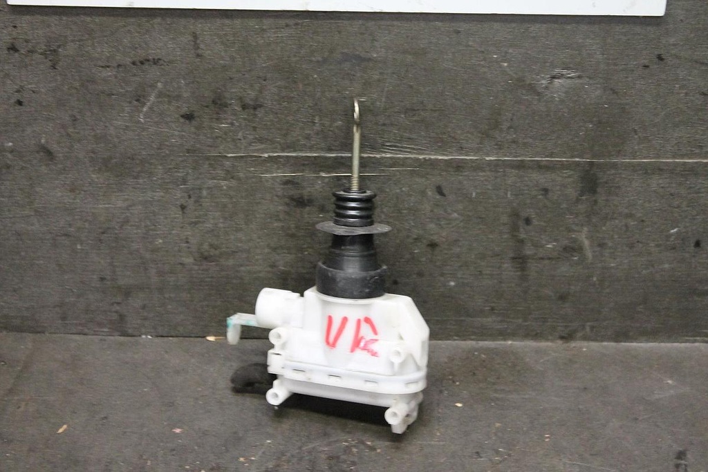 IMG_6887.JPG