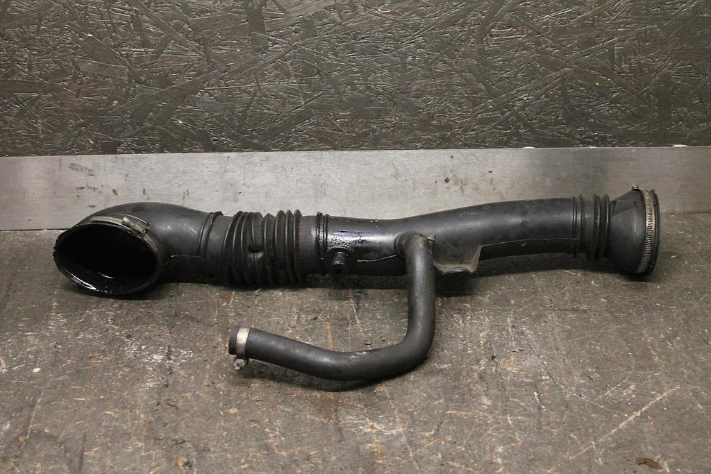 IMG_9006.JPG