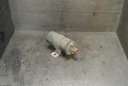 DSC_3132.JPG