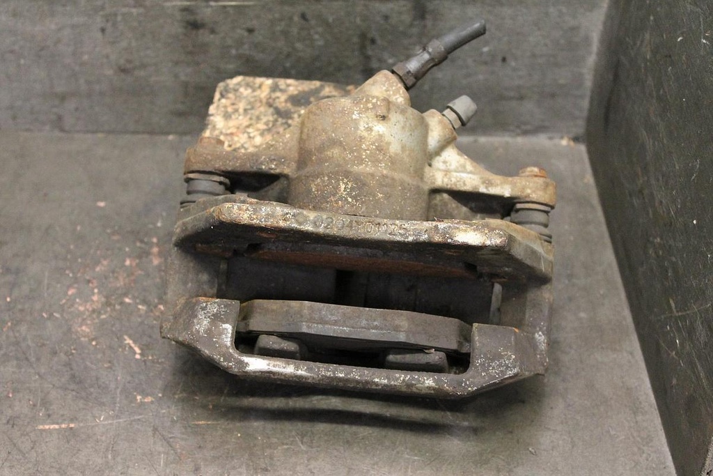 f2664963.jpg