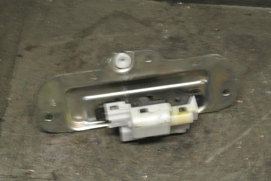 DSC_7615.JPG