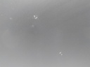 16733411282367797848369060448158.jpg