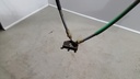 20230110_072156.jpg