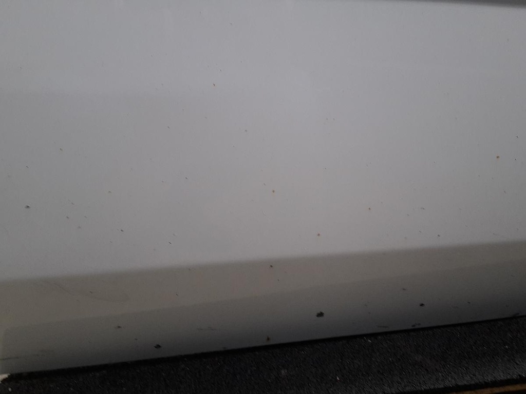 20230213_081617.jpg
